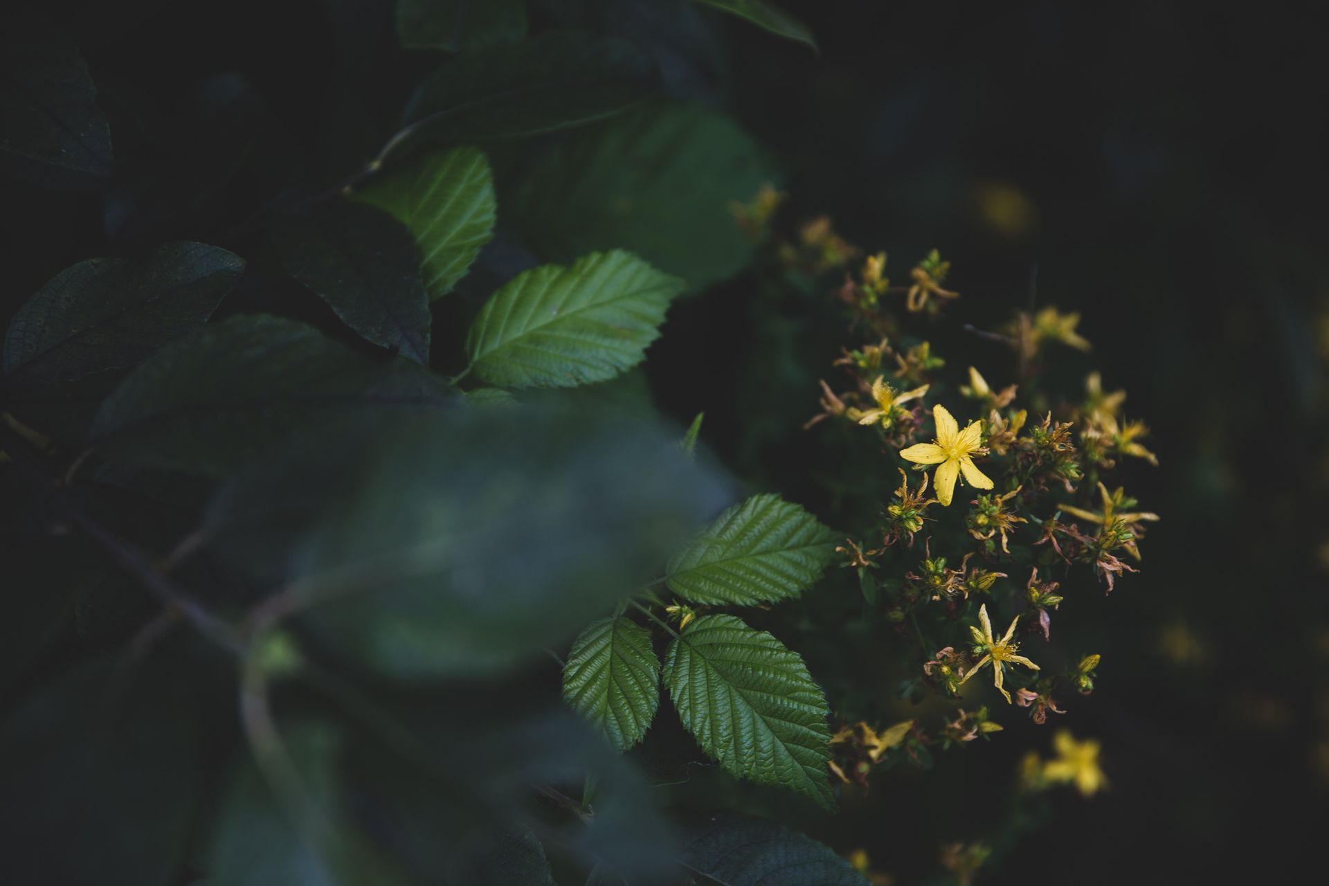 Willkommen – Umgebinde 1657
