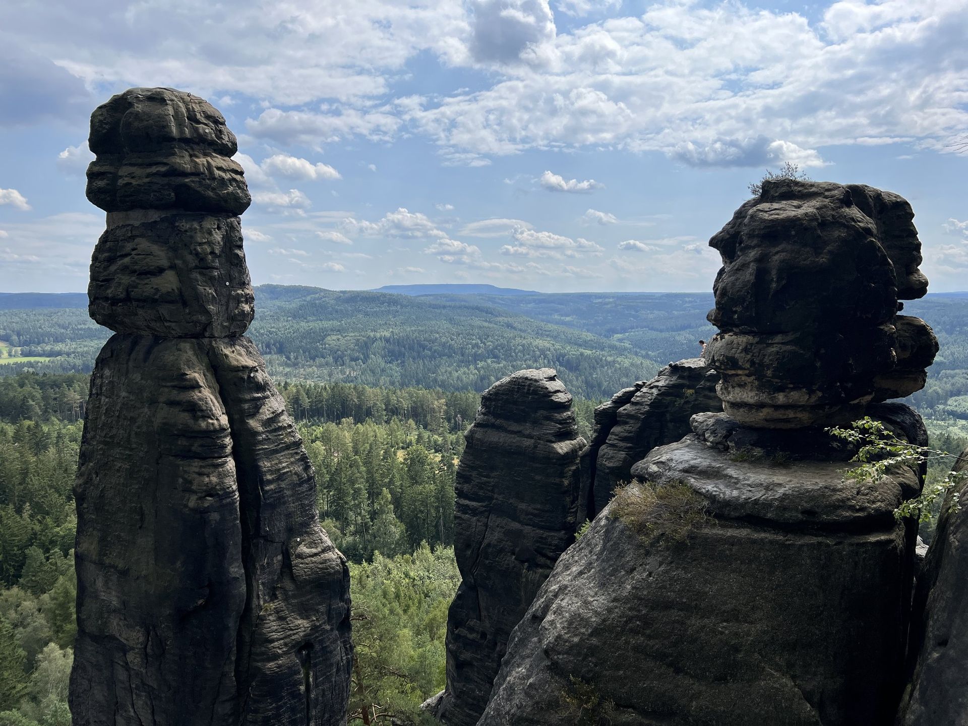 Die Felsnadel Barbarine auf dem Pfaffenstein über dem bewaldeten Vorland