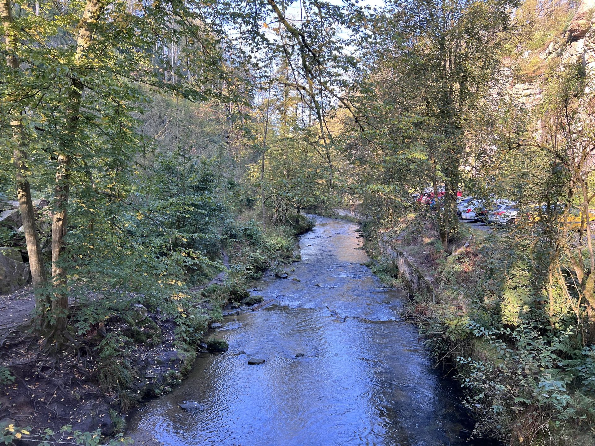 Die Kirnitzsch fließt im Herbst zwischen bewaldeten Hängen
